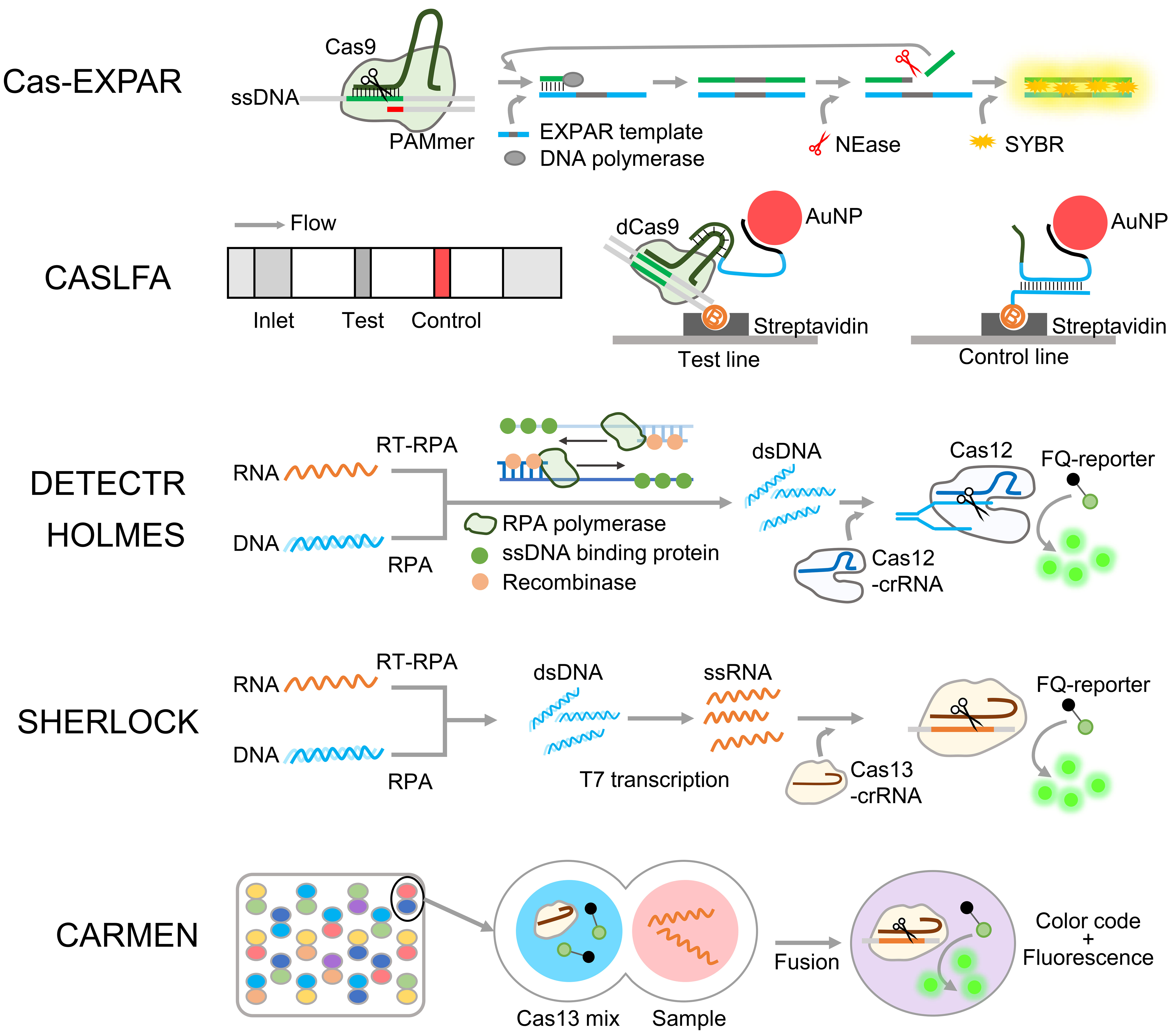 AST-2025-016_R1_P_Graphical Abstract_001.jpg